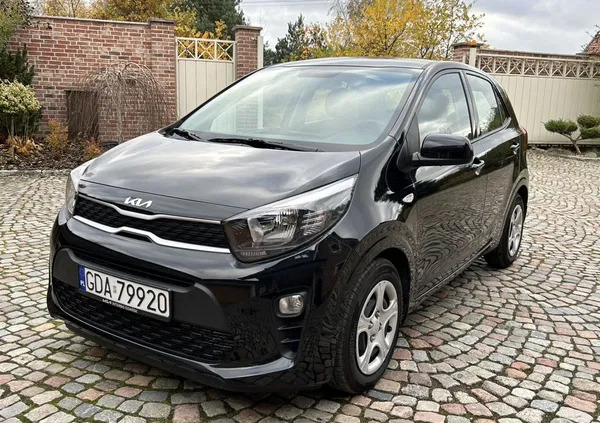 pomorskie Kia Picanto cena 53900 przebieg: 10500, rok produkcji 2023 z Złoty Stok